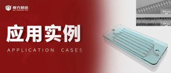 应用实例|哈尔滨工业大学《CEJ》：具有高气液分离效率的仿生Janus微流体制氢仿生功能器件