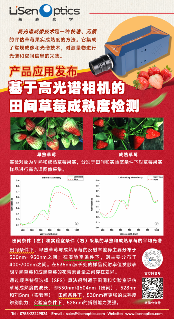 【产品应用发布】基于高光谱相机的田间草莓成熟度检测