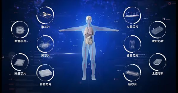 我国首个器官芯片领域国家标准发布