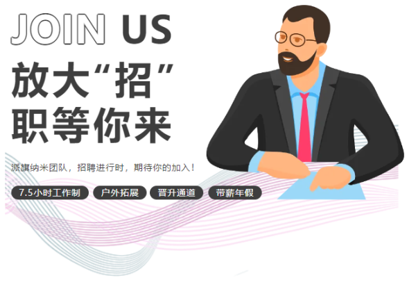 放大&ldquo;招&rdquo;，派旗纳米持续招聘中......