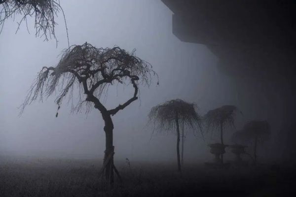 莱森光学：雾霾对典型地物光谱曲线测量的影响分析