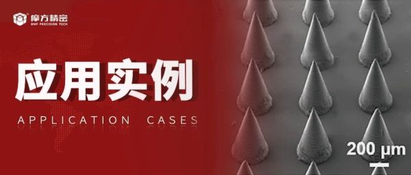 应用实例|武汉大学药学院黎威教授课题组《Small》：结合多功能纳米颗粒和活菌的双层微针贴片用于长效治疗特应性皮炎