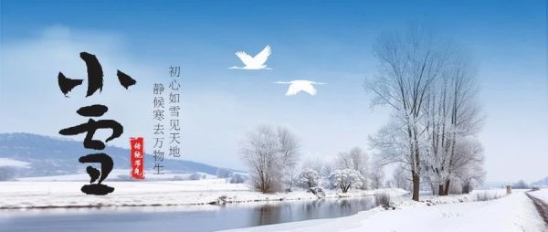【小雪】初心如雪见天地，静候寒去万物生