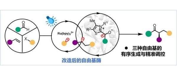 Nature发文！南大团队推动光酶领域到复杂多组分转化