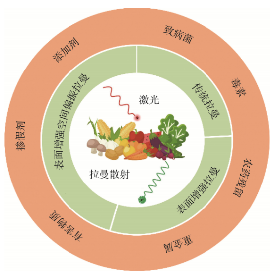 莱森光学：拉曼光谱在食品安全检测中的应用