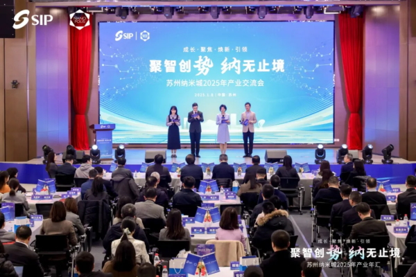 纳米界精英汇聚 共绘园区纳米产业发展新蓝图