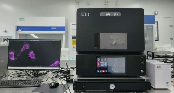 高通量实时捕捉肿瘤药物响应！倍捷锐NHQLive落地北大医学部舒绍坤课题组
