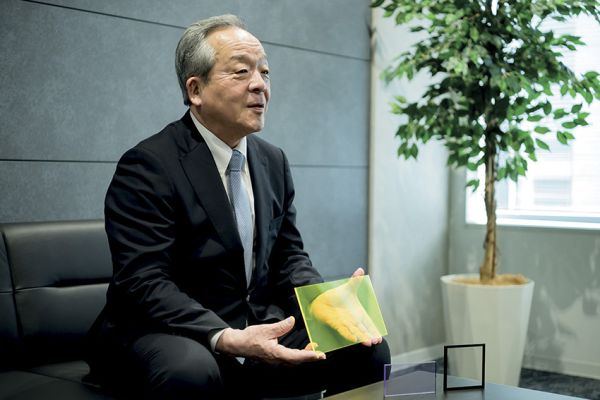 神岛化学：一家陶瓷企业的工艺与创新案例