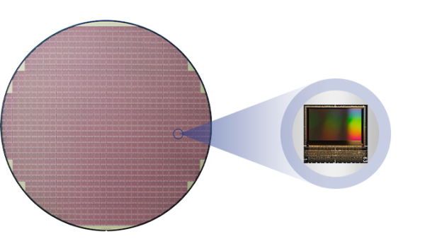 Sapien 和 SEMIFIVE 将联合设计和销售 microLED 背板